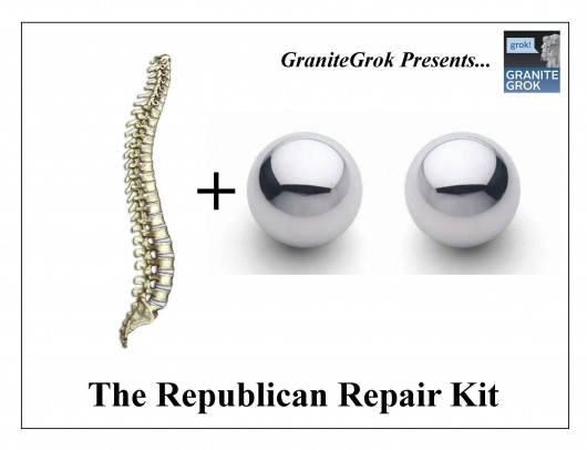 Republican Repair Kit