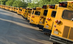 College kids bussed to polling places by liberals democrats and UNH Professors