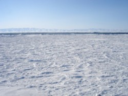 beaufort-sea ice