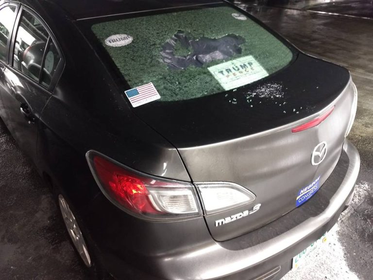 Ann Copp, Car, Window Trump stickers