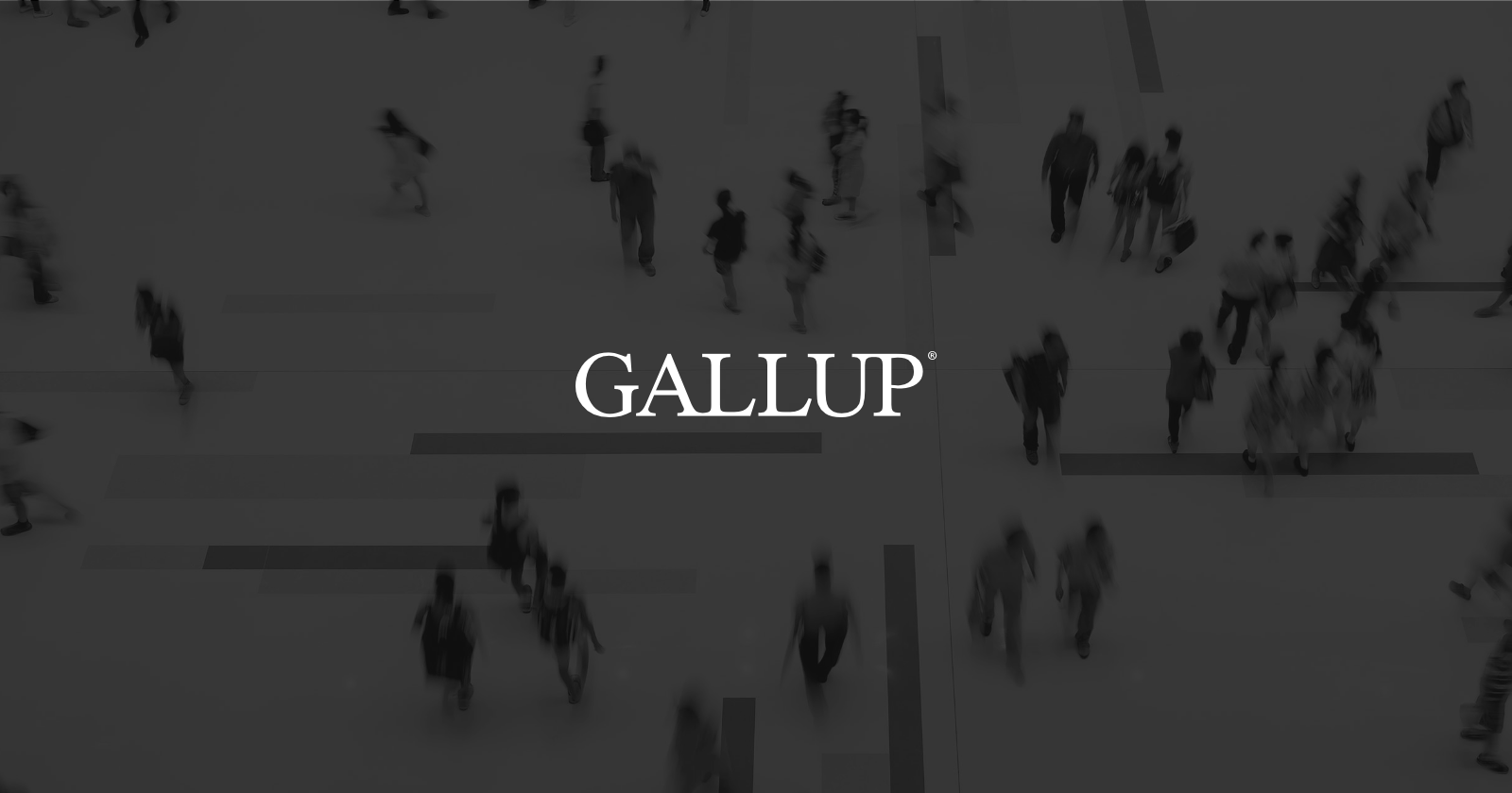 Gallup Polling Logo