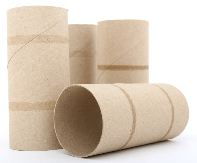 Toilet paper roll no toilet paper