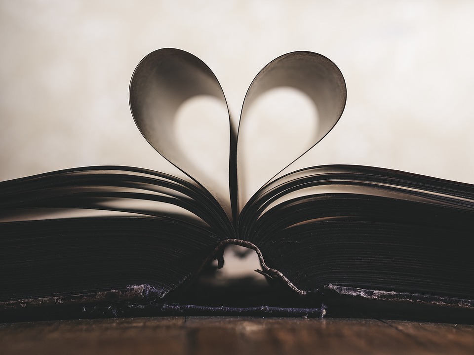 Book pages heart love reader