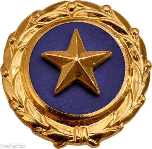 Gold Star Pin