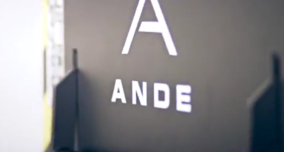 ANDE DNA testing