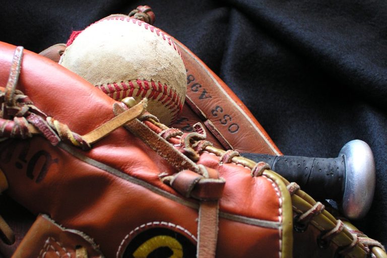 Baseball Glove bat