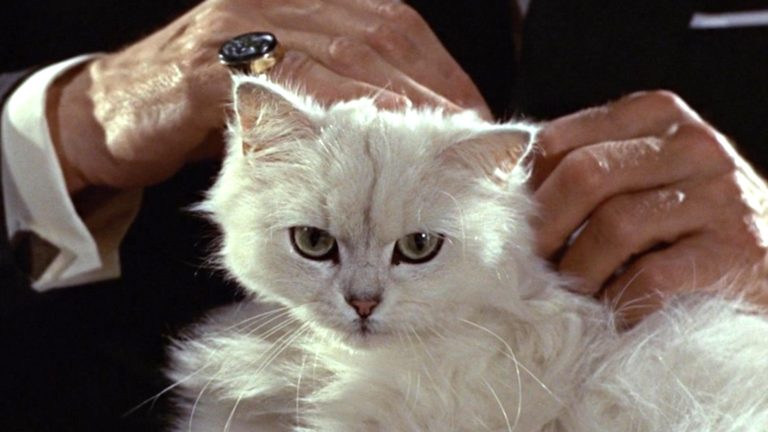 Blofeld's cat from From Russia With Love
