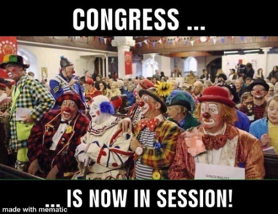 Mommy, what does Congress do?