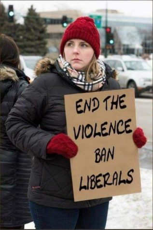 end violence ban liberals