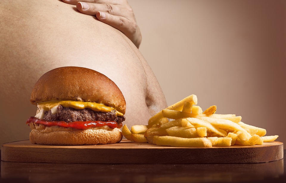 Hamburger fries obesity