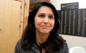 Tulsi Gabbard - Hollis Barn - Mike Rogers Interview