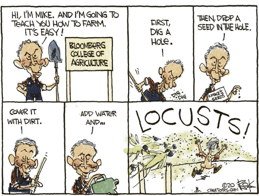 Bloomberg Farmer Locusts