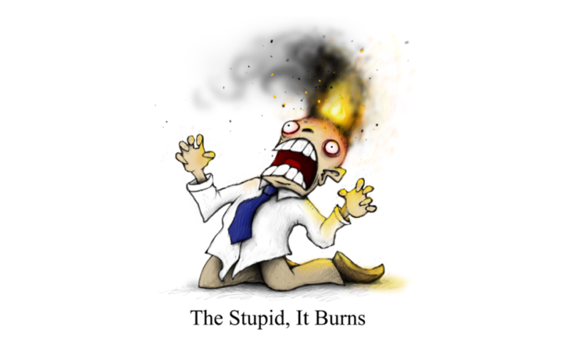 The Stupid - it burnsThe Stupit - it burns