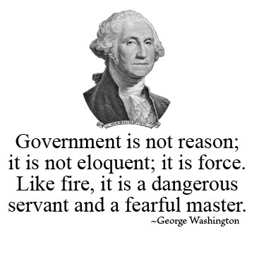 Washington Government Force