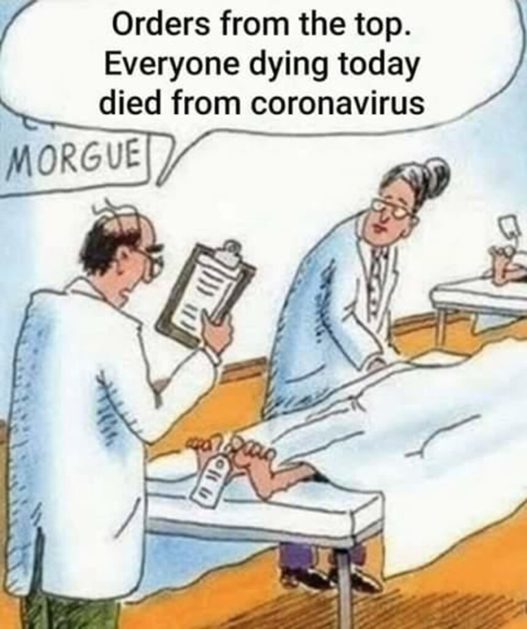 Everyone dies from coronavirus today