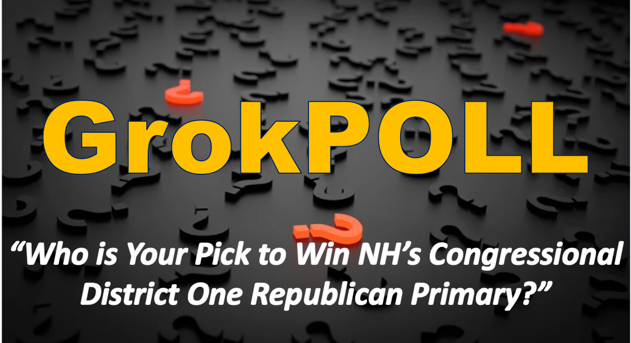 Who is Your Pick to Win NHs Congressional District One Republican Primary