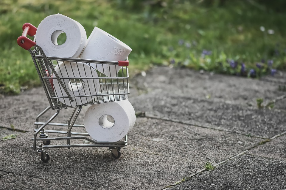 shopping toilet paper