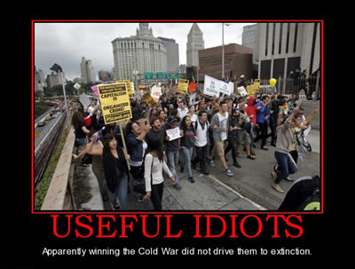 Useful Idiots