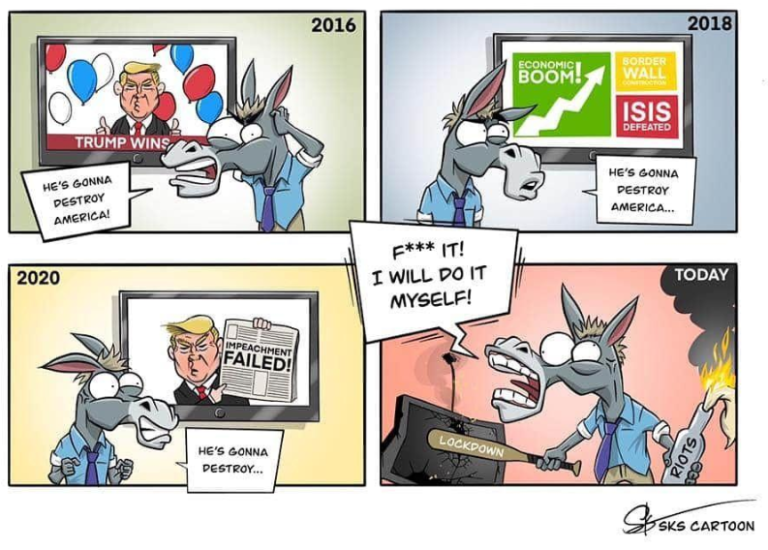 The Last 4 years in one cartoon