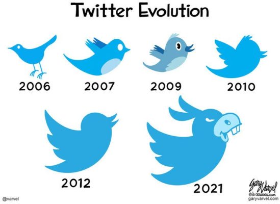 Twitter evolution