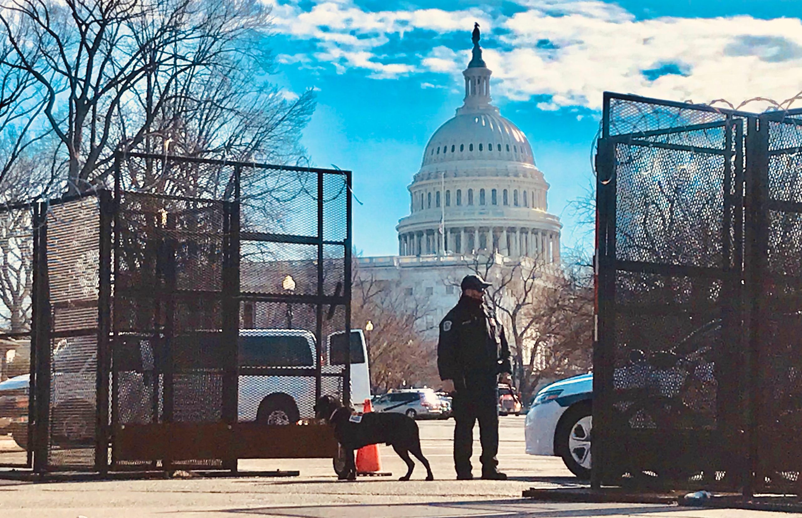 DC Capitol Building Fence Armed man and dog