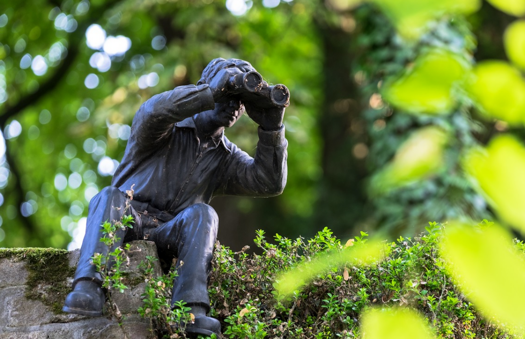 surveillance figure binoculars