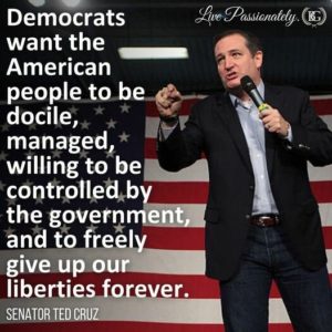 Ted Cruz: Democrats want Americans to be docile