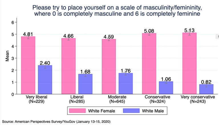 Masculinity Femininity by Ideology