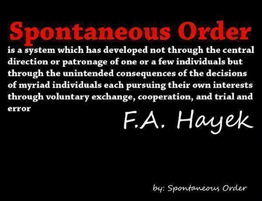 Spontaneous Order Hayek