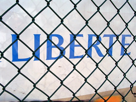 Liberty behind a fence - Free Image antonio ferreira