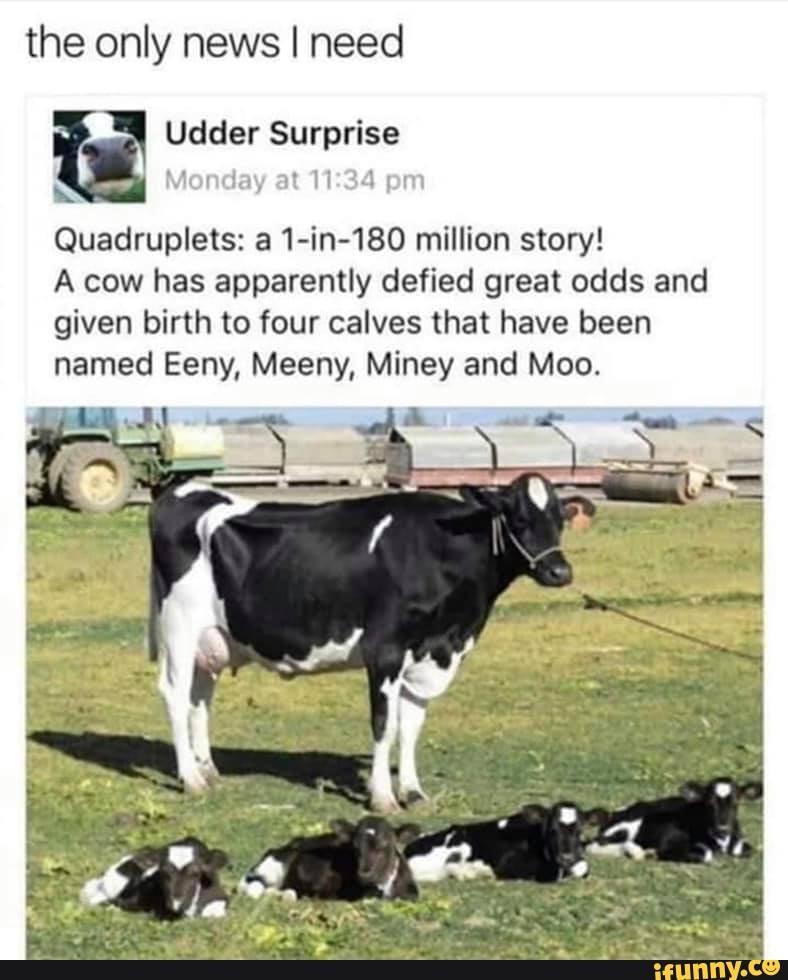 Cow quadruplets a  1-180 million odds story