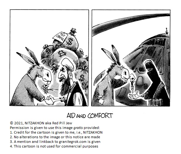 CARTOON: Aid and Comfort - Granite Grok