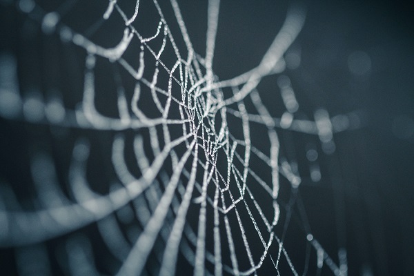 Web spider web