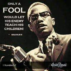 malcolm x on education