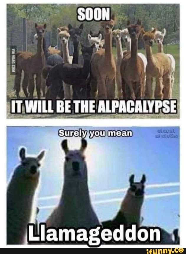 The Alpacaclypse
