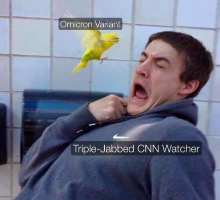 CNN watcher vs Omicron