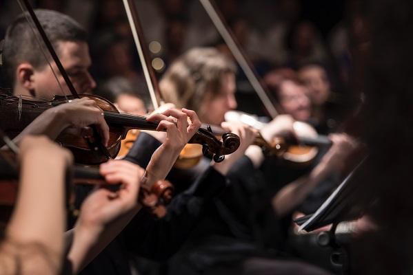 Orchestra Violins Photo by Larisa Birta on Unsplash