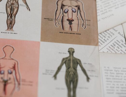 human anatomy original Photo by Annie Spratt on Unsplash