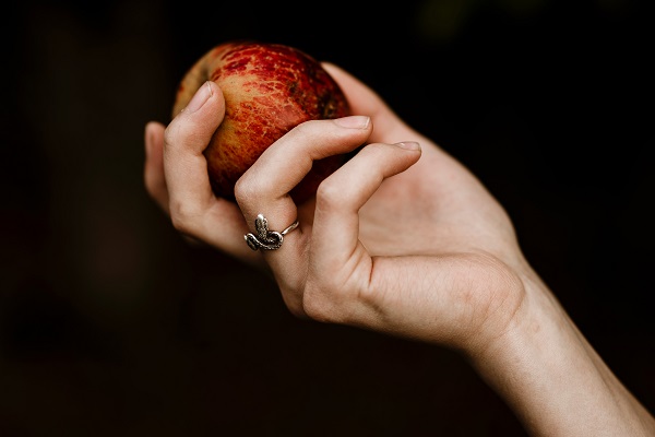 Eve Eden Apple Snake Photo by ANDREAS BODEMER on Unsplash