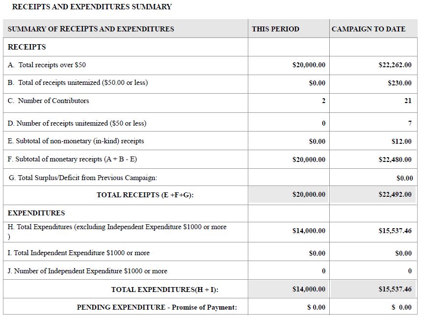 Brodie Deshaies Common Sense PAC Quarterly filing report RSA 664 Summary