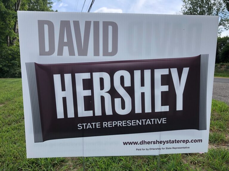 David Hershey for NH House campaign sign