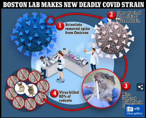 BU Killer COVID Graphic - Care of The Daily Mail UK