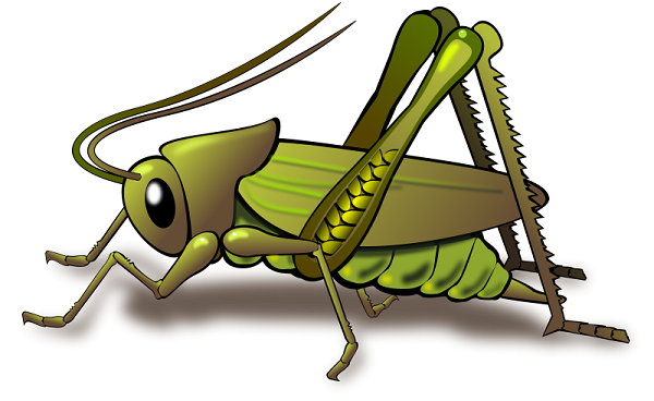 Cricket clipart-library