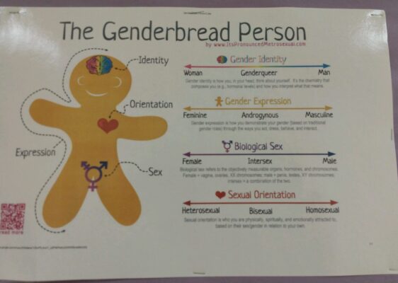 Genderbread person