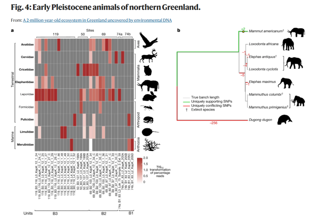 Early Pleistocene Greenland - Nature