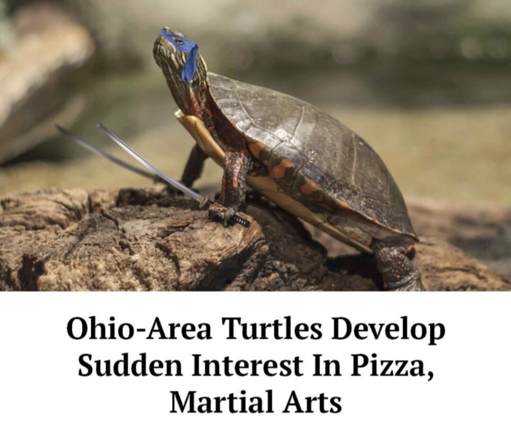 Ohio Turtles Ninja Pizza