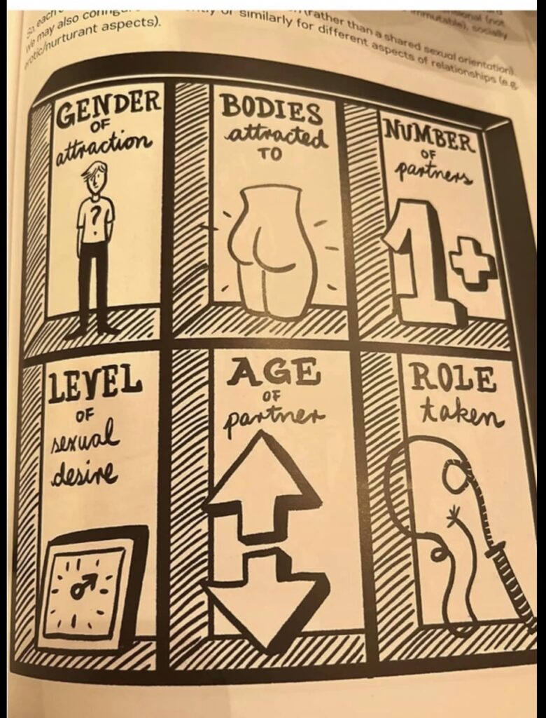 Gender attraction cartoon