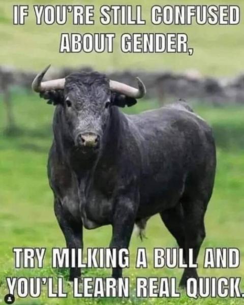 confused-about-gender.jpg