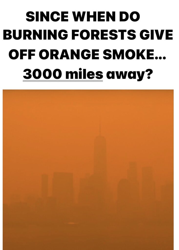 orange-smoke-733x1024.jpg