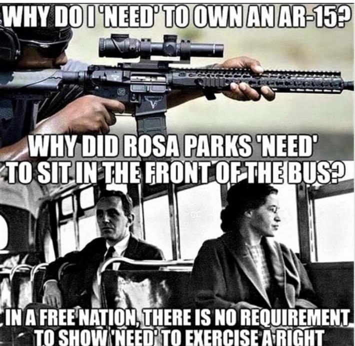 why-did-rosa-parks.jpeg